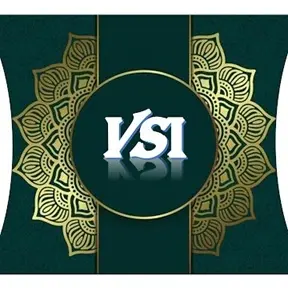 products2F1771037617403-VSIlogo